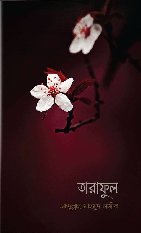 চাঁদের বুড়ির বয়স যখন ষোলো (হার্ডকভার)
