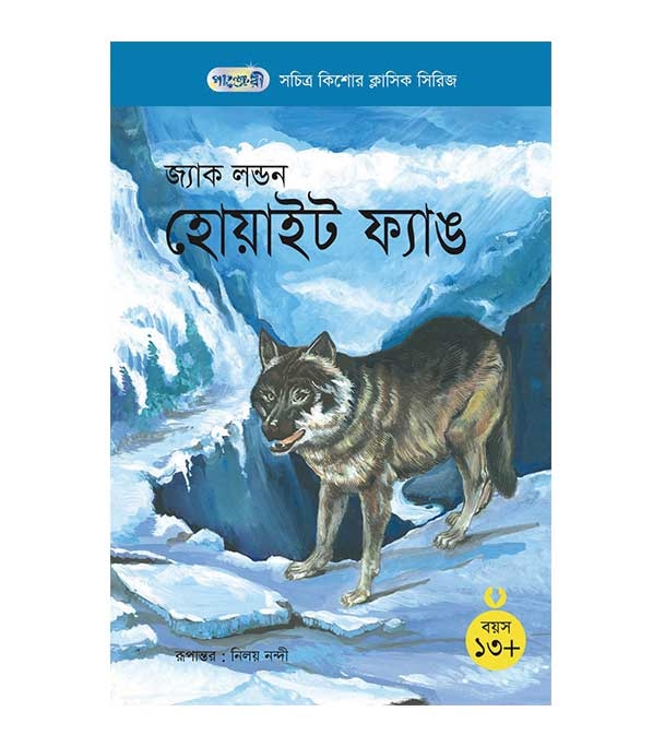 চাঁদের বুড়ির বয়স যখন ষোলো (হার্ডকভার)
