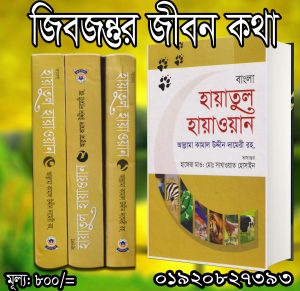 চাঁদের বুড়ির বয়স যখন ষোলো (হার্ডকভার)