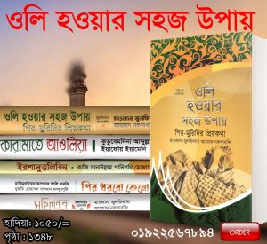 চাঁদের বুড়ির বয়স যখন ষোলো (হার্ডকভার)