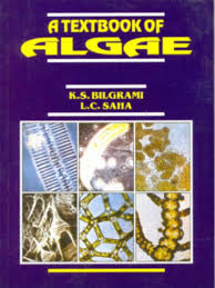 চাঁদের বুড়ির বয়স যখন ষোলো (হার্ডকভার)