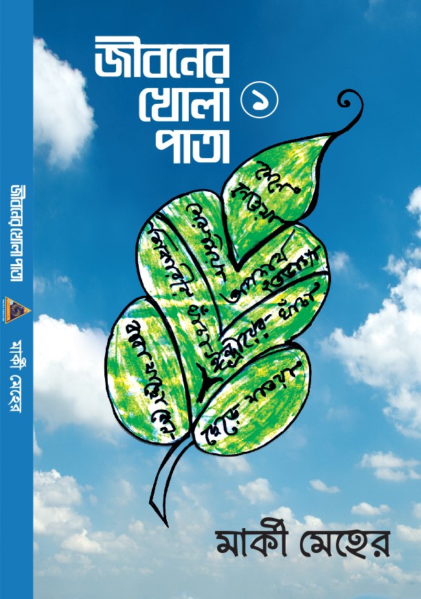 চাঁদের বুড়ির বয়স যখন ষোলো (হার্ডকভার)