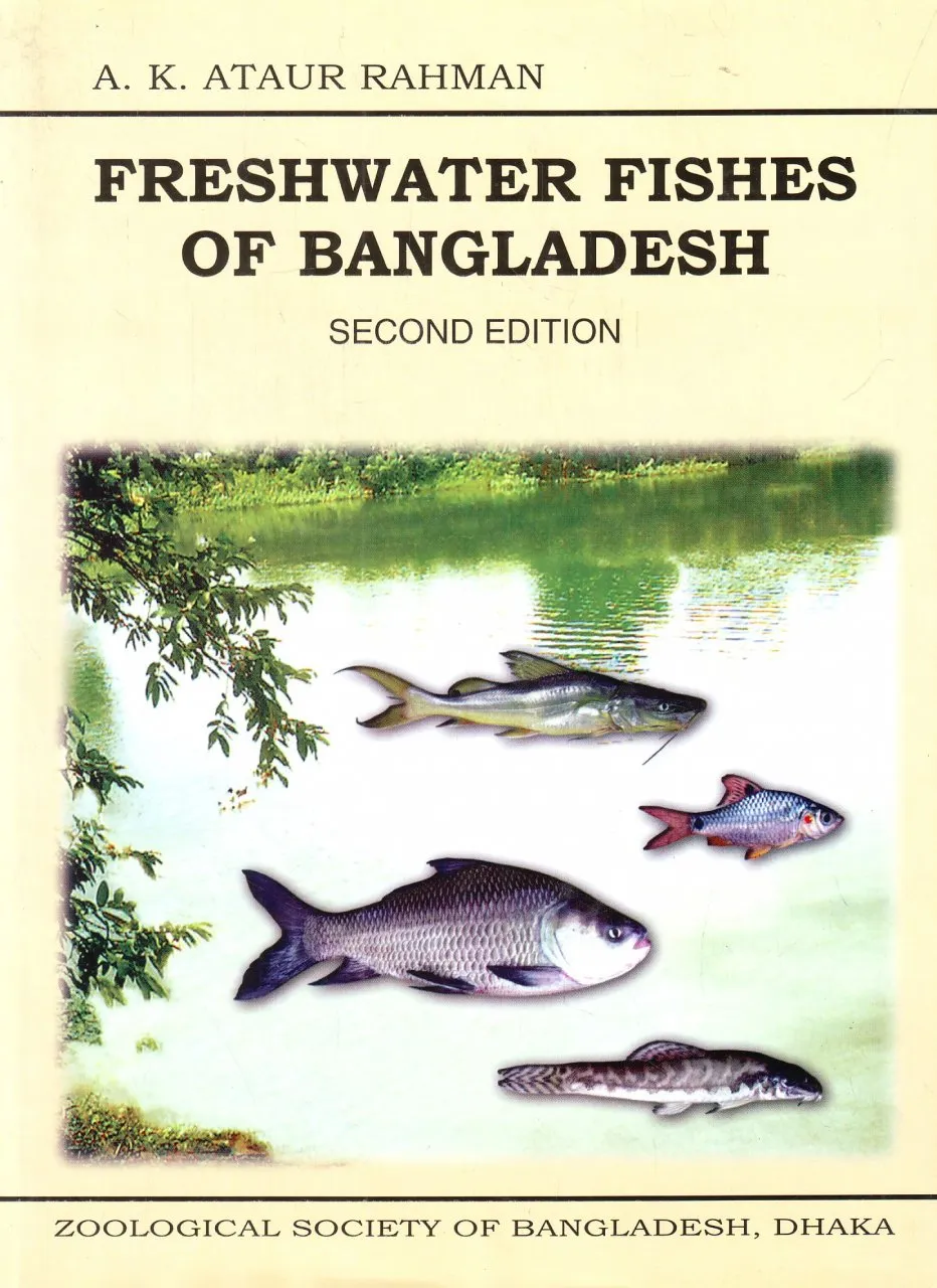 চাঁদের বুড়ির বয়স যখন ষোলো (হার্ডকভার)