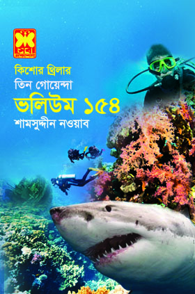 চাঁদের বুড়ির বয়স যখন ষোলো (হার্ডকভার)